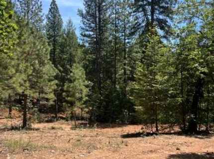 5040 Butterfield Stage Rd, Georgetown, CA 95634 Photo
