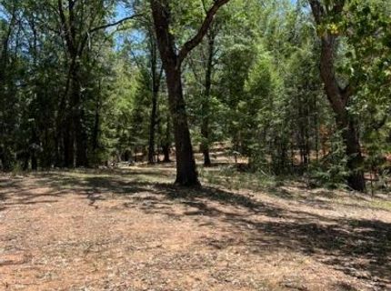 5040 Butterfield Stage Rd, Georgetown, CA 95634 Photo