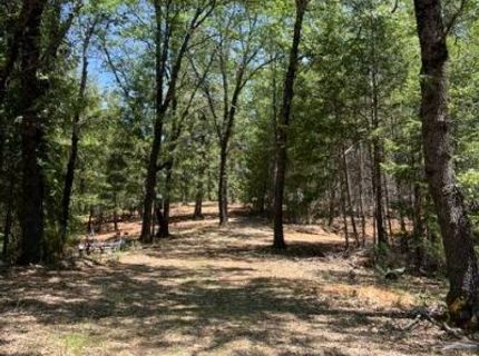 5040 Butterfield Stage Rd, Georgetown, CA 95634 Photo