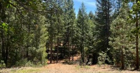 5040 Butterfield Stage Rd, Georgetown, CA 95634 Photo