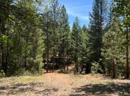 5040 Butterfield Stage Rd, Georgetown, CA 95634 Photo
