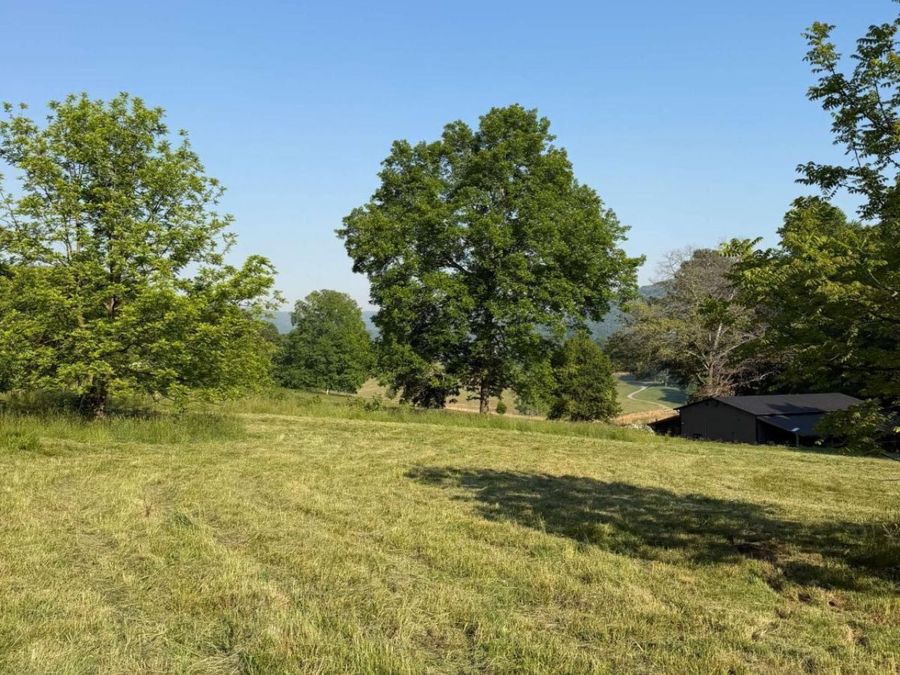 Property Image 18