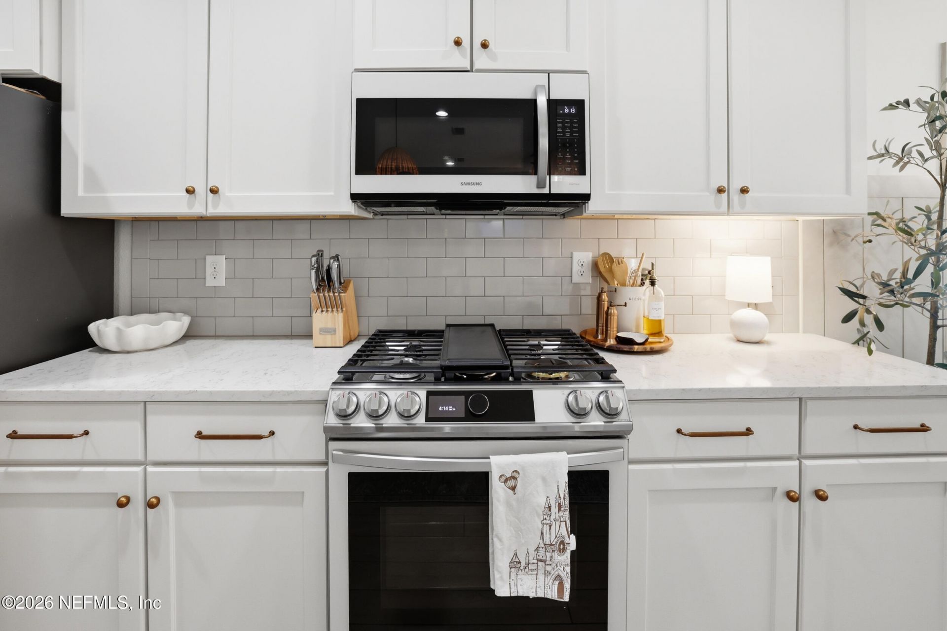 3034 Free Bird Loop, Green Cove Springs, FL 32043 Photo