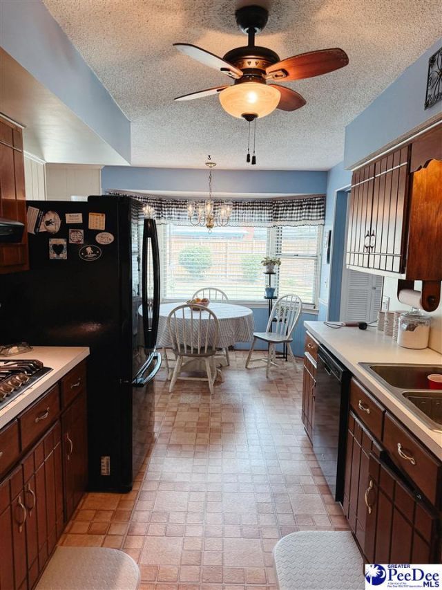 850 Thunderbird Drive Photo 13