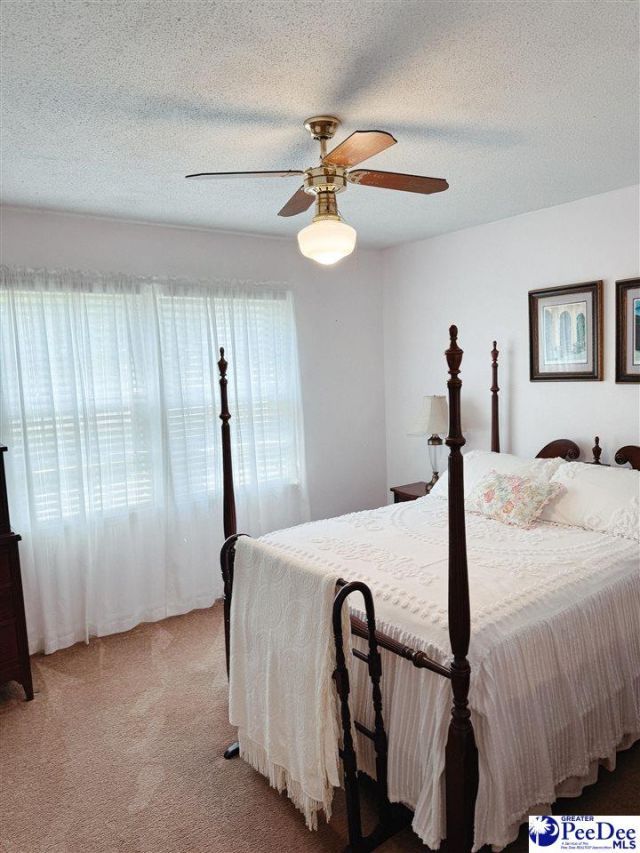 850 Thunderbird Drive Photo 21