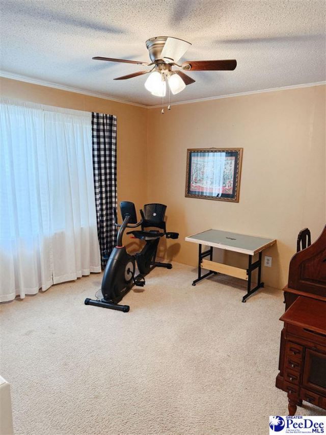 850 Thunderbird Drive Photo 23