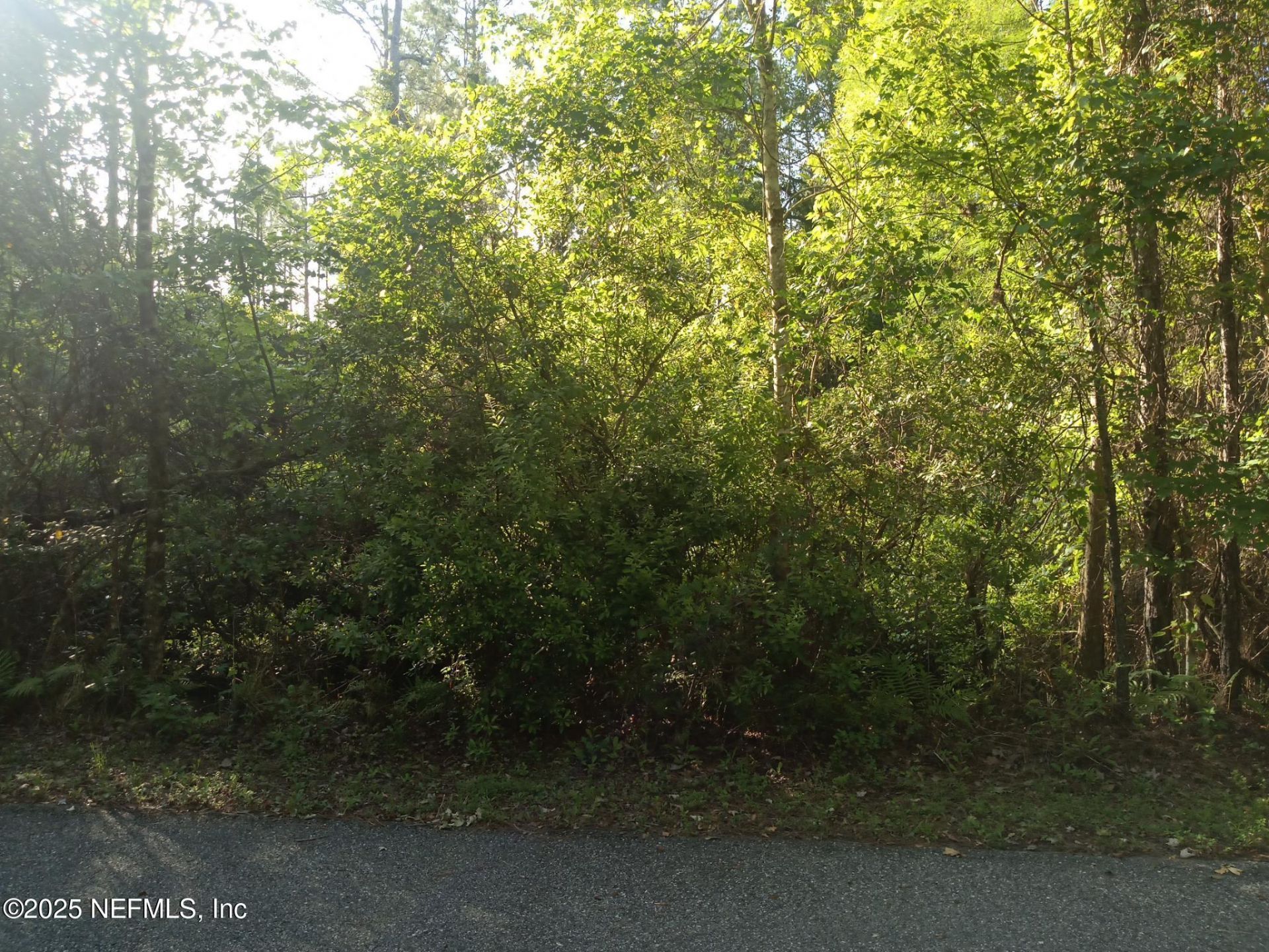 0 Railroad Avenue, Elkton, FL 32033 Photo