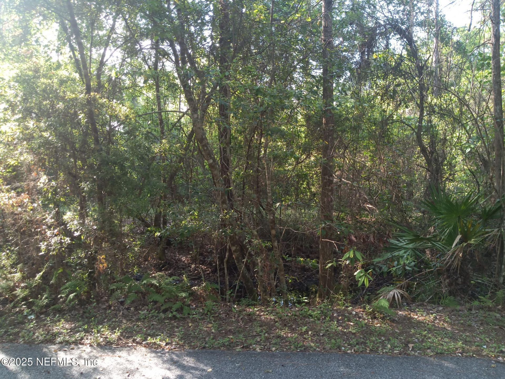 0 Railroad Avenue, Elkton, FL 32033 Photo