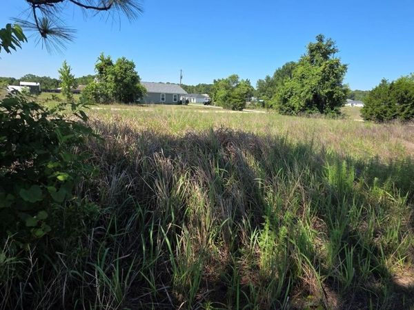 SW 149TH TERRACE , OCALA, FL 34481