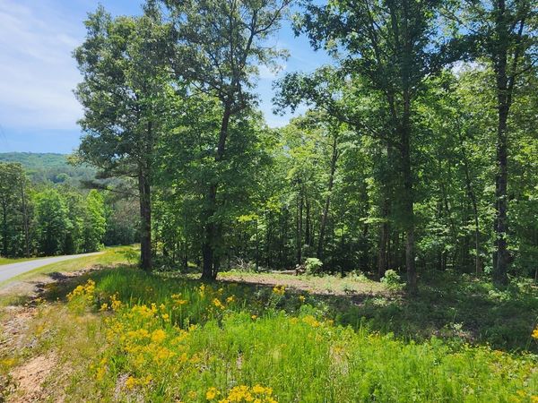 LT 90 Barrel Knot Court, Ellijay, GA 30536