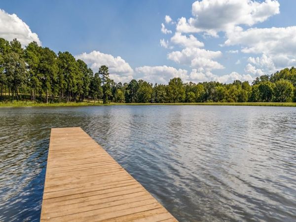 14244 Caddo Creek Circle, Larue, TX 75770