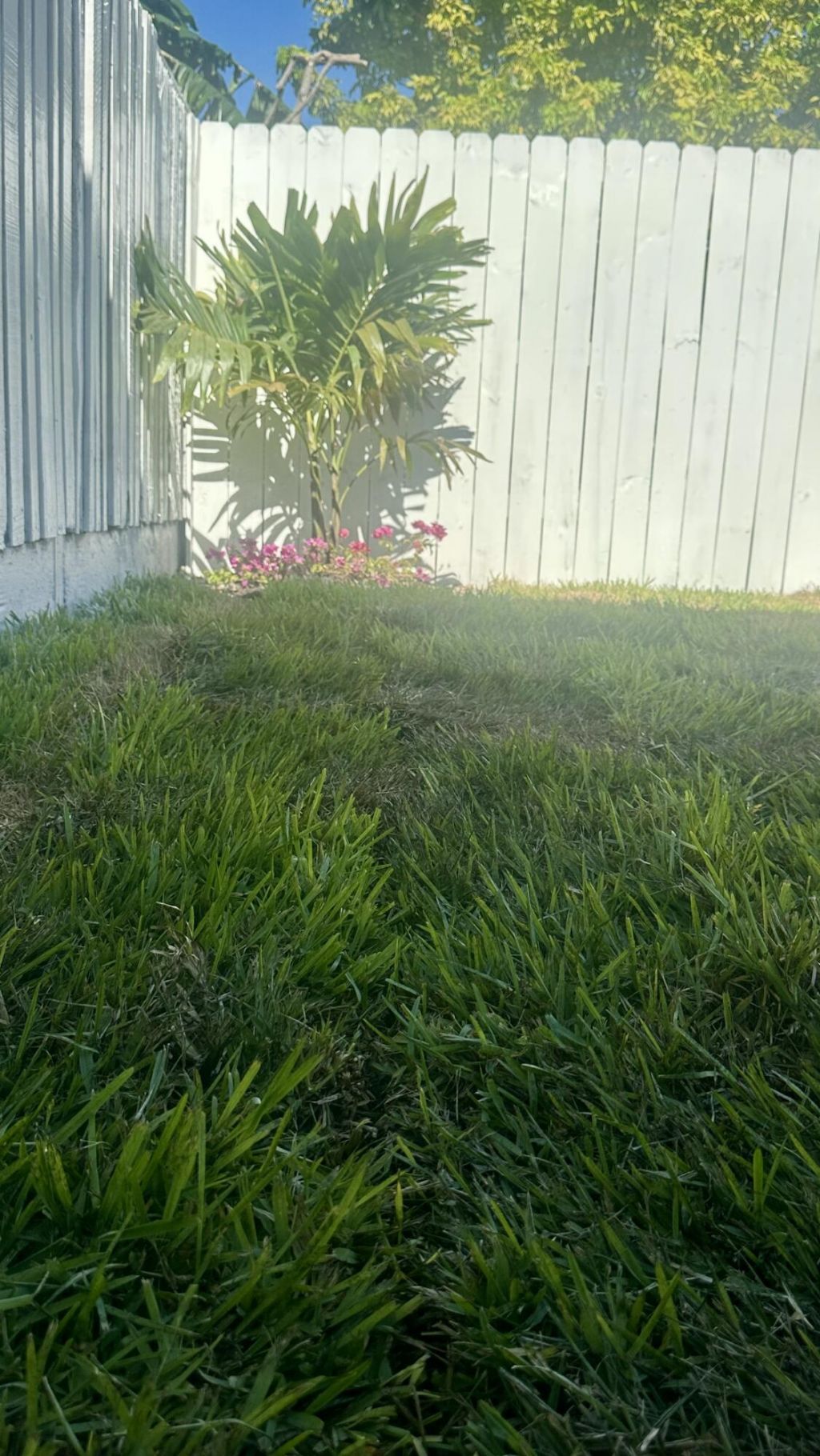 4300 W 10th Court, Hialeah, FL 33012 Photo