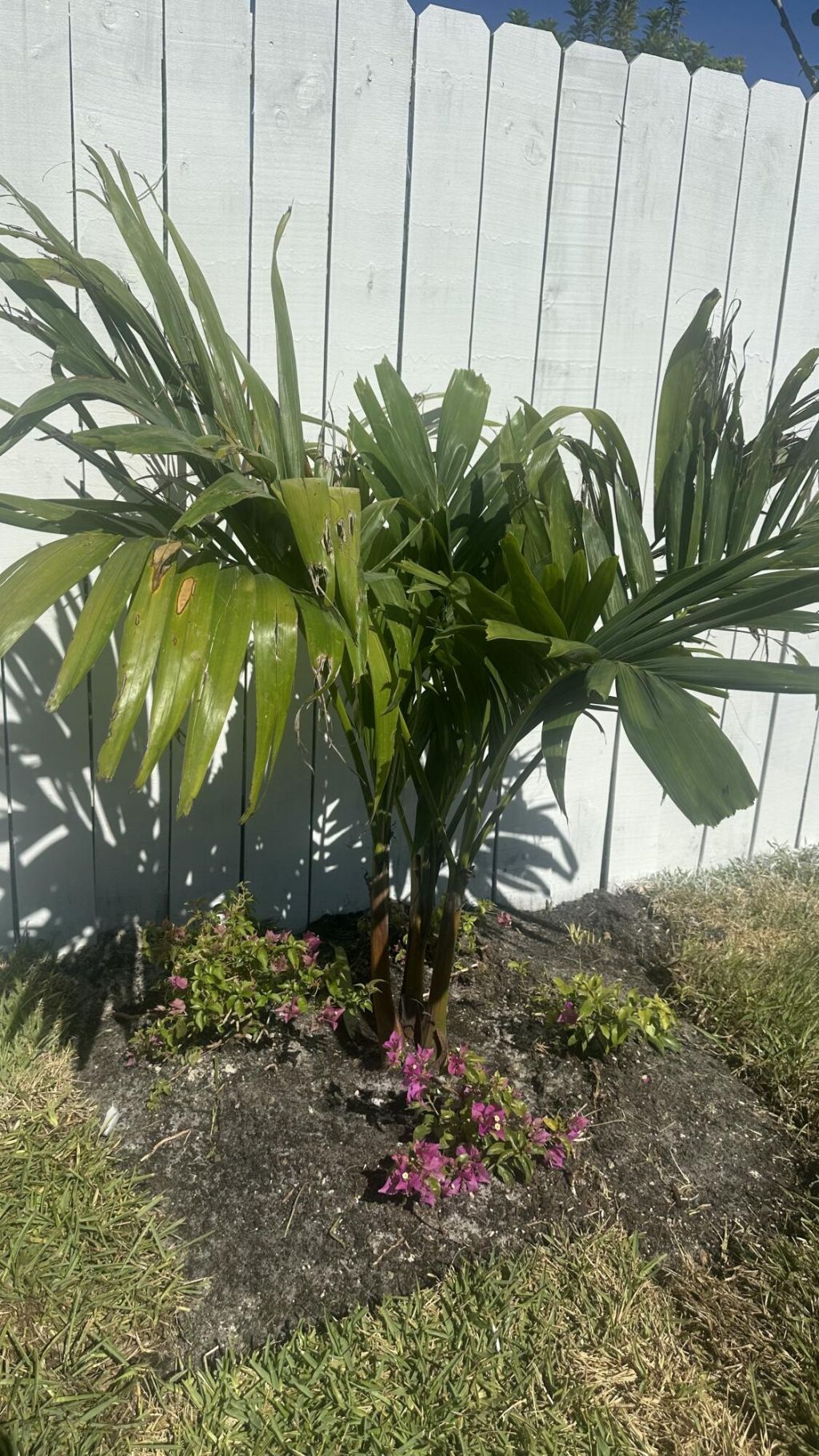 4300 W 10th Court, Hialeah, FL 33012 Photo