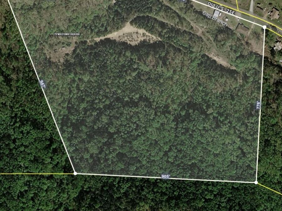 Property Image 4