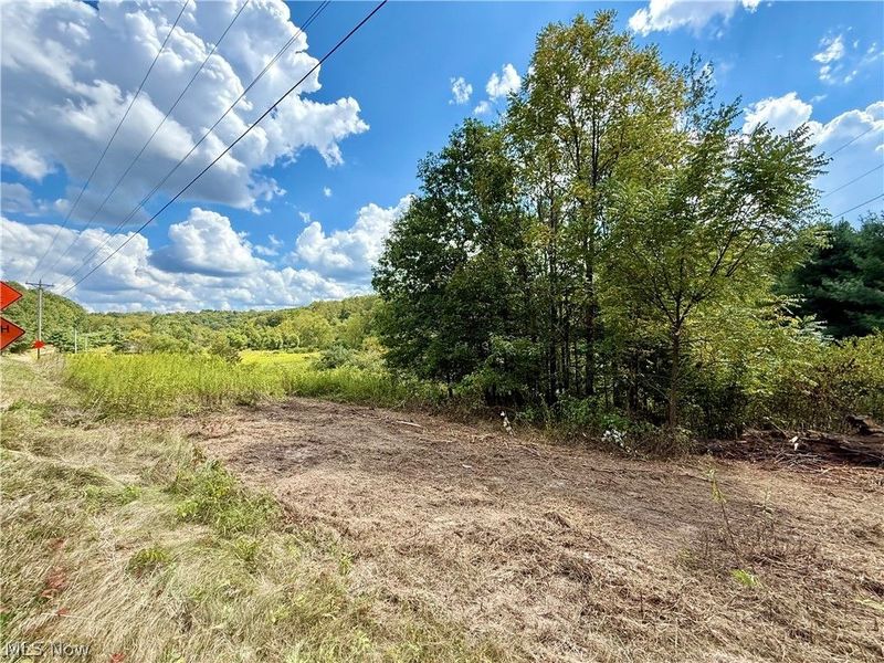Aster Road, Carrollton, OH 44615 Photo 10