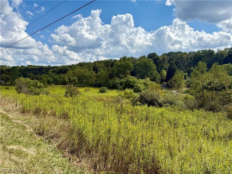 Aster Road, Carrollton, OH 44615 Photo 2