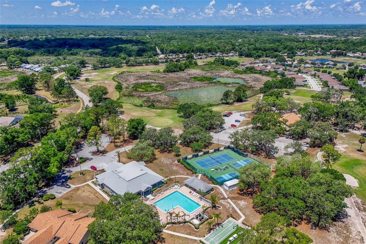 13253 Golf Ridge Place , Hudson, FL 34669 Photo