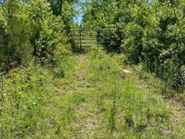 1730 N Walkers Mill Road, Griffin, GA 30223