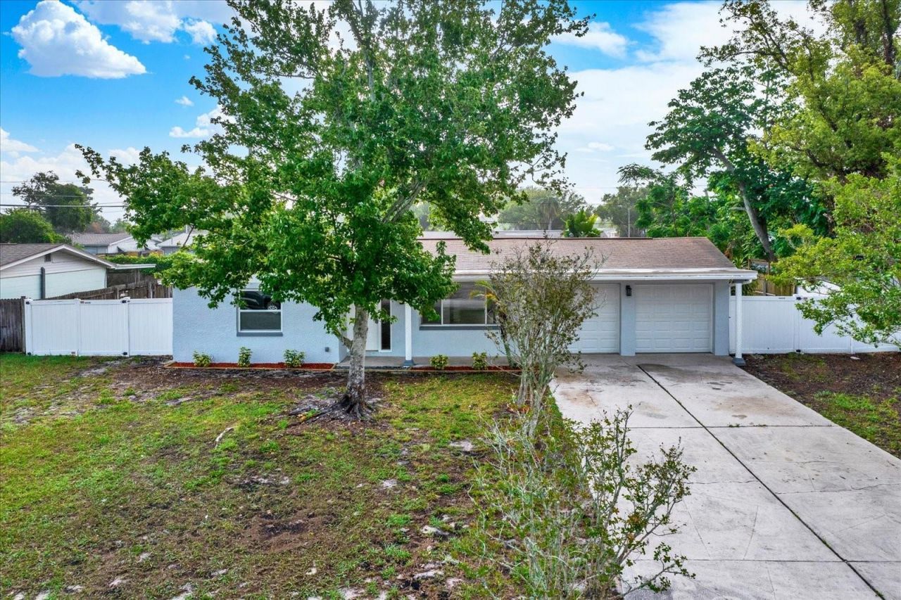 3800 Linkwood Street , New Port Richey, FL 34652 Photo