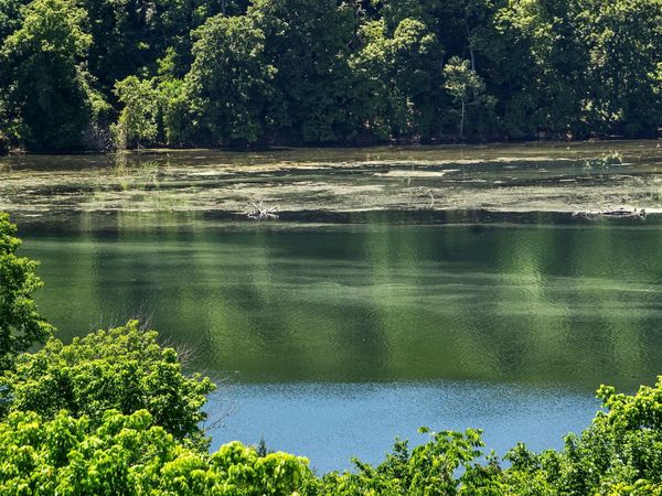 150 Sunken Forest Drive, Unit 4-157, Forsyth, MO 65653