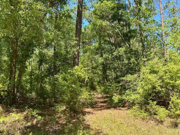 LOT37 NW 79TH DRIVE, Jasper, FL 32052