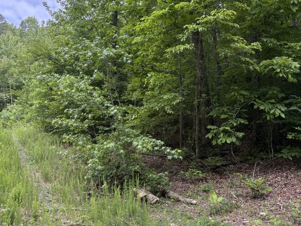 225 Hollow Road , Whitwell, TN 37397