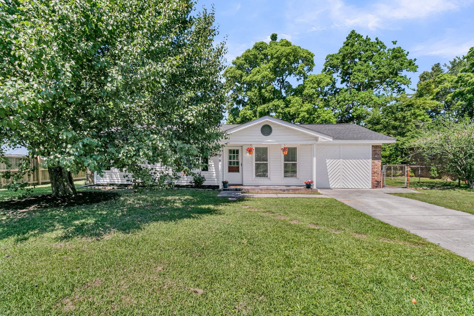 109 Camellia Road Photo 7