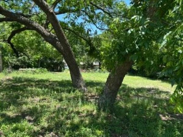116 W Walnut Street , Whitewright, TX 75491