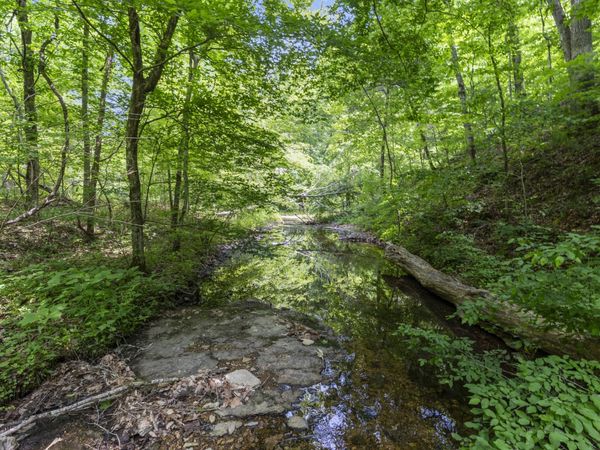 0 Deerfoot Drive , Pegram, TN 37143