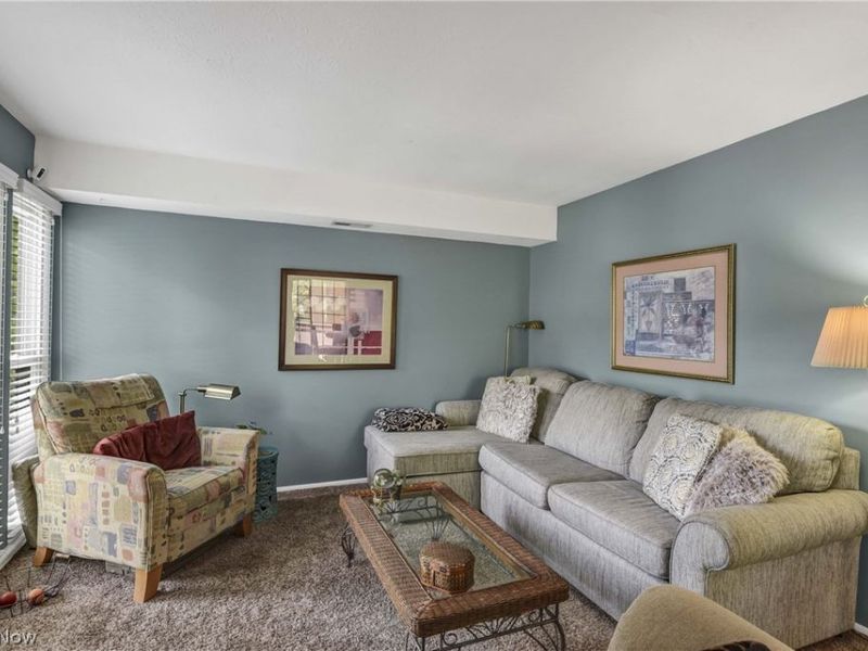 33803 Electric Boulevard, Unit C22, Avon Lake, OH 44012 Photo 8