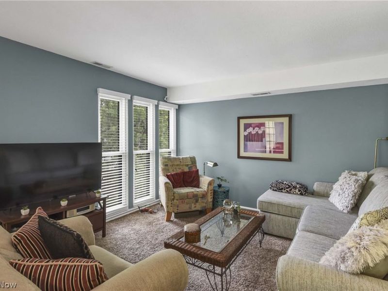 33803 Electric Boulevard, Unit C22, Avon Lake, OH 44012 Photo 9