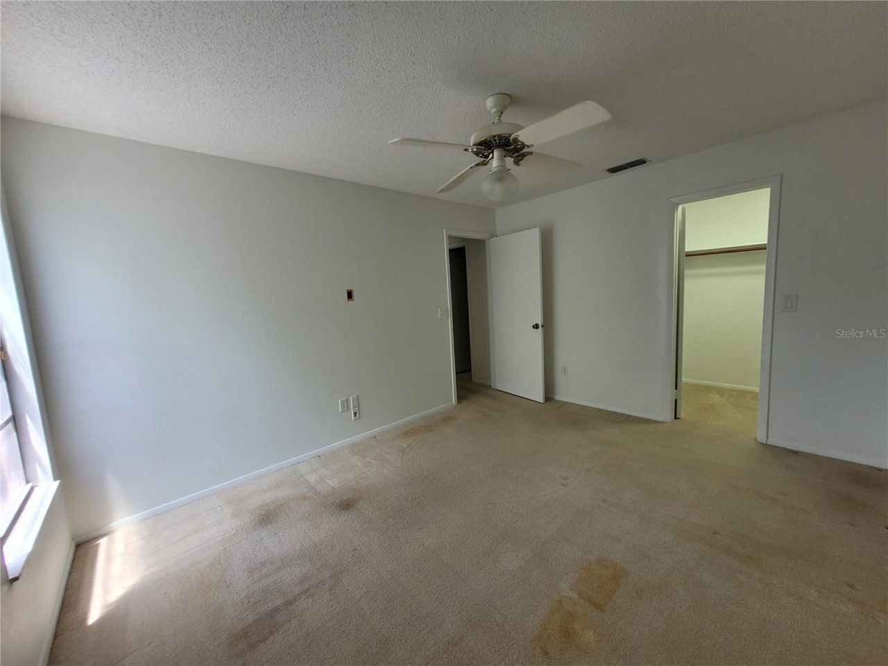 7125 Silvermill Drive, Tampa, FL 33635 Photo