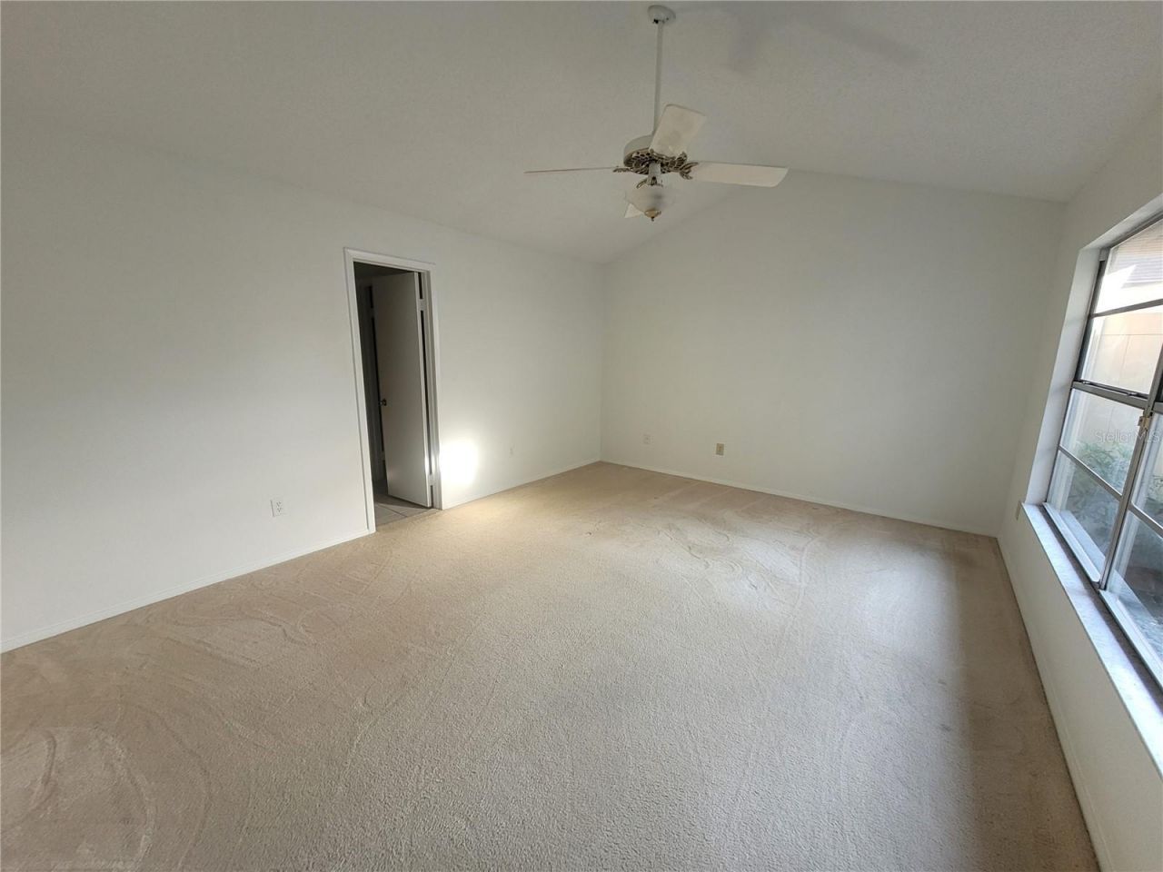 7125 Silvermill Drive, Tampa, FL 33635 Photo