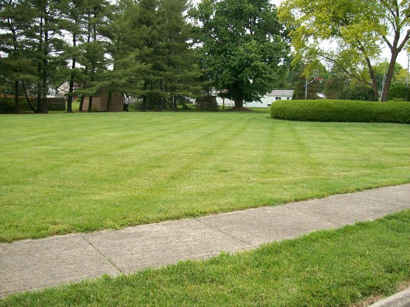 0 Joy Court, Circleville, OH 43113 Photo 2
