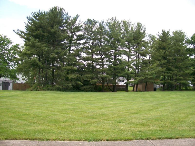 0 Joy Court, Circleville, OH 43113 Photo 3