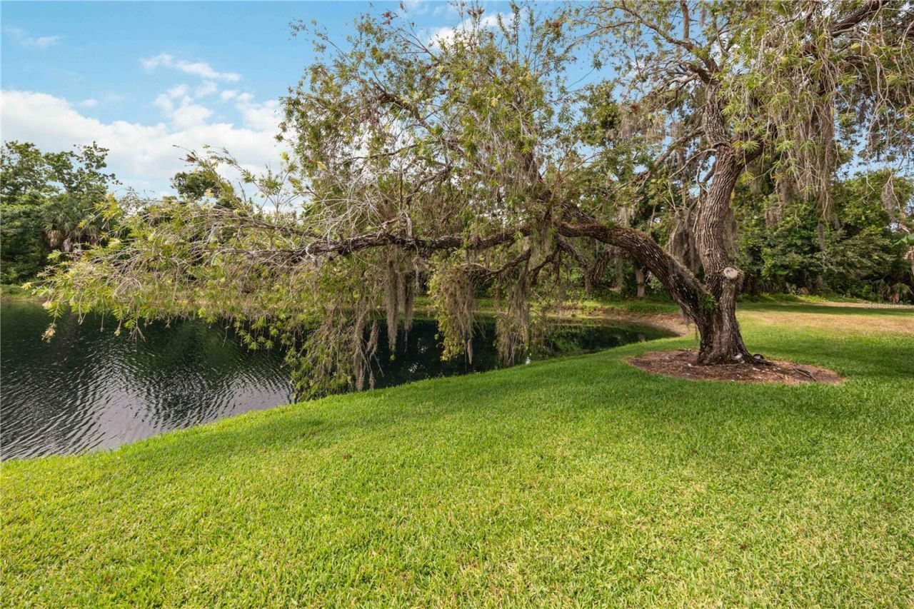 6567 Draw Lane, Unit 104, Sarasota, FL 34238 Photo