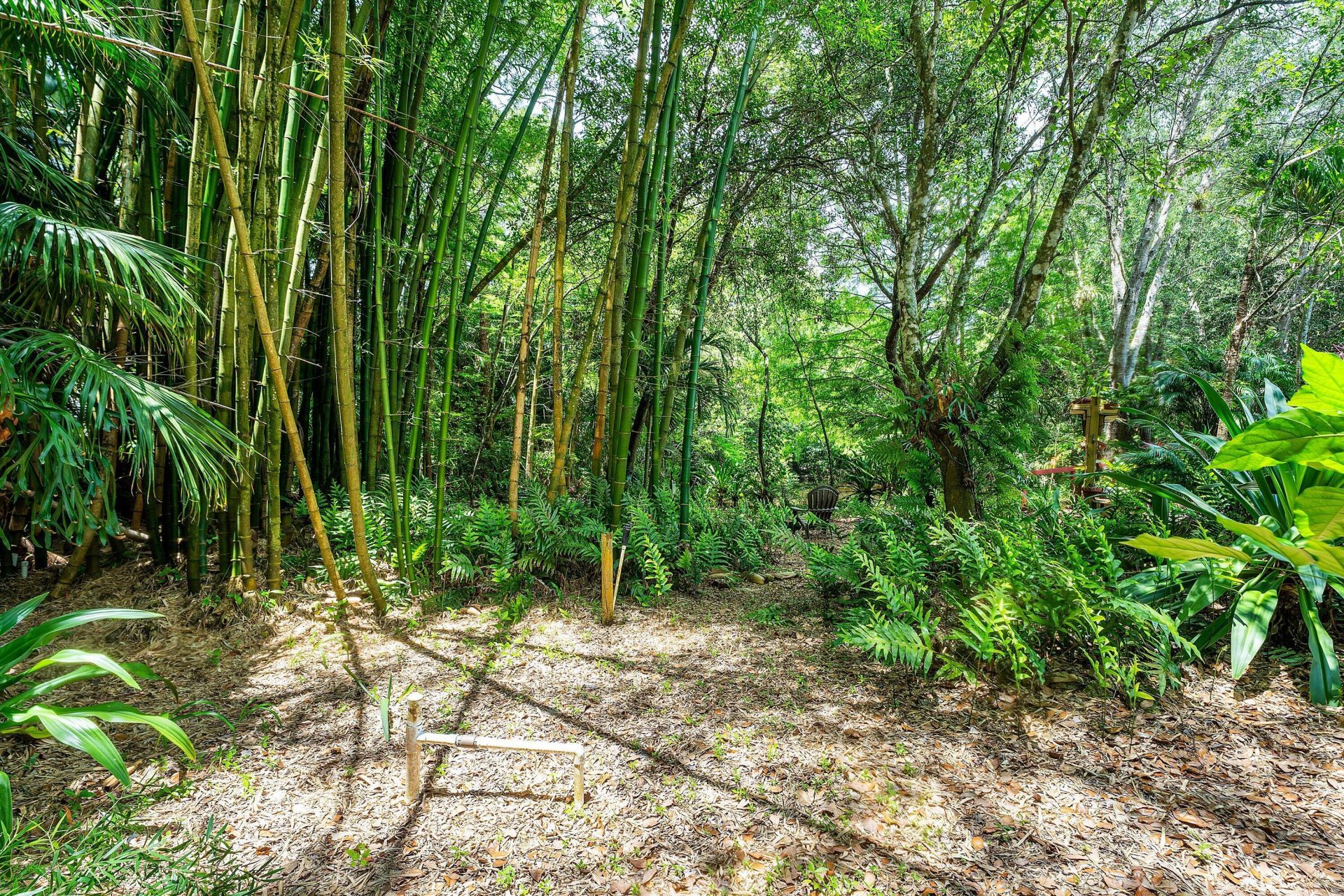 17418 N 30th Ln Lane N, The Acreage, FL 33470 Photo