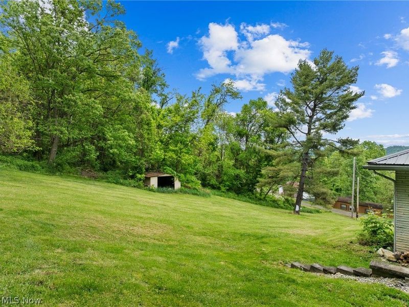 69641 Holley Street, Martins Ferry, OH 43935 Photo 34