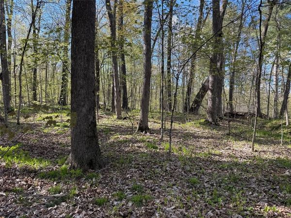 W2373 Blackhawk Road, Sarona, WI 54870