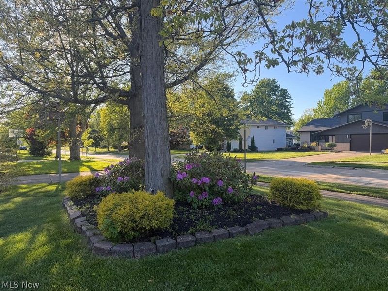 5420 Bluebell Drive, Lyndhurst, OH 44124 Photo 2
