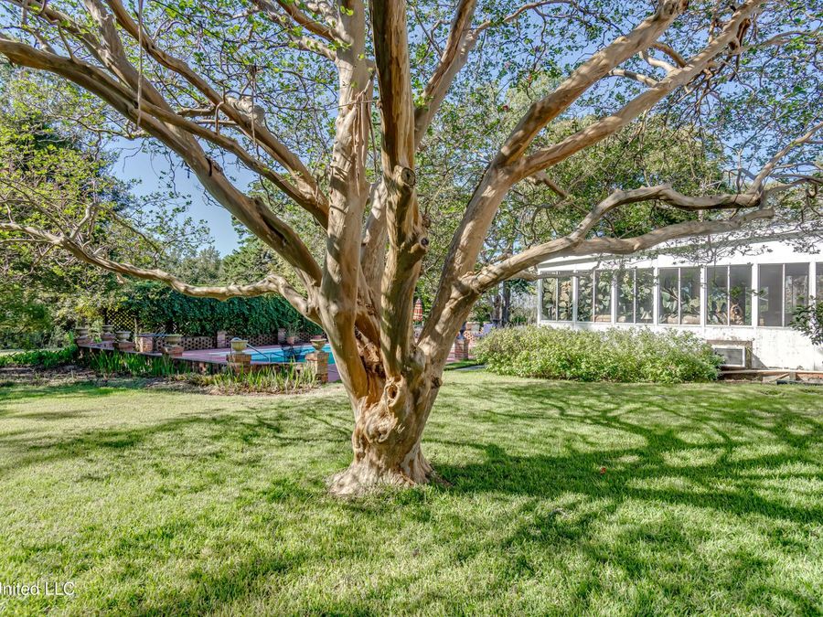Property Image 69