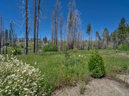 7425 Winding Way, Grizzly Flats, CA 95636 Photo