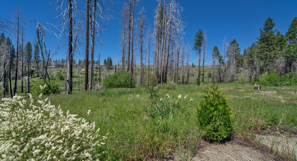 7425 Winding Way, Grizzly Flats, CA 95636 Photo