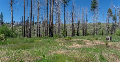 7425 Winding Way, Grizzly Flats, CA 95636 Photo