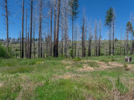 7425 Winding Way, Grizzly Flats, CA 95636 Photo