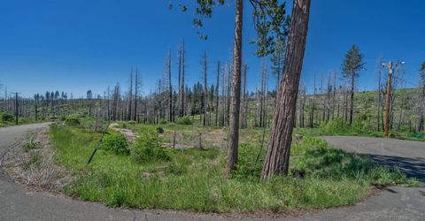 7425 Winding Way, Grizzly Flats, CA 95636 Photo
