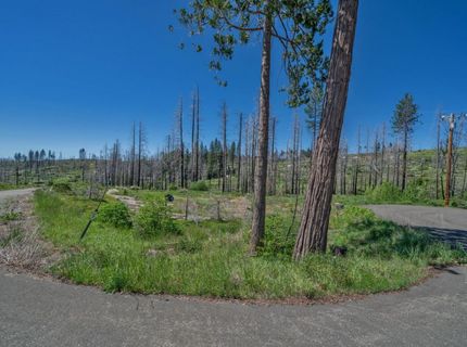 7425 Winding Way, Grizzly Flats, CA 95636 Photo