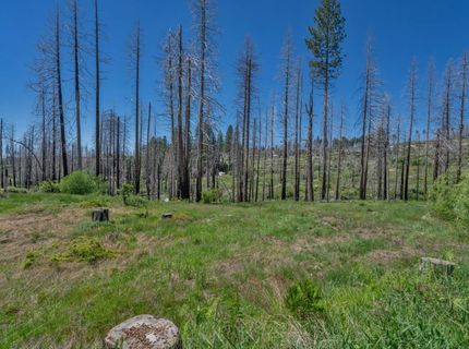 7425 Winding Way, Grizzly Flats, CA 95636 Photo