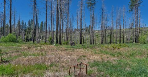 7425 Winding Way, Grizzly Flats, CA 95636 Photo