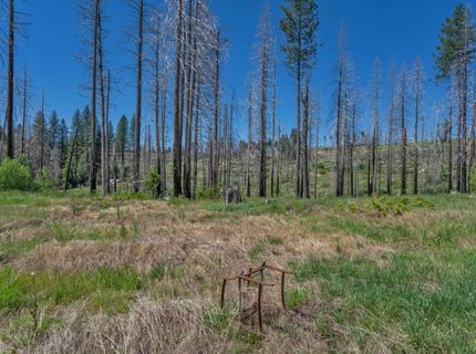 7425 Winding Way, Grizzly Flats, CA 95636 Photo